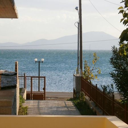 Artemis - Marina Apartments Evia Eksteriør billede