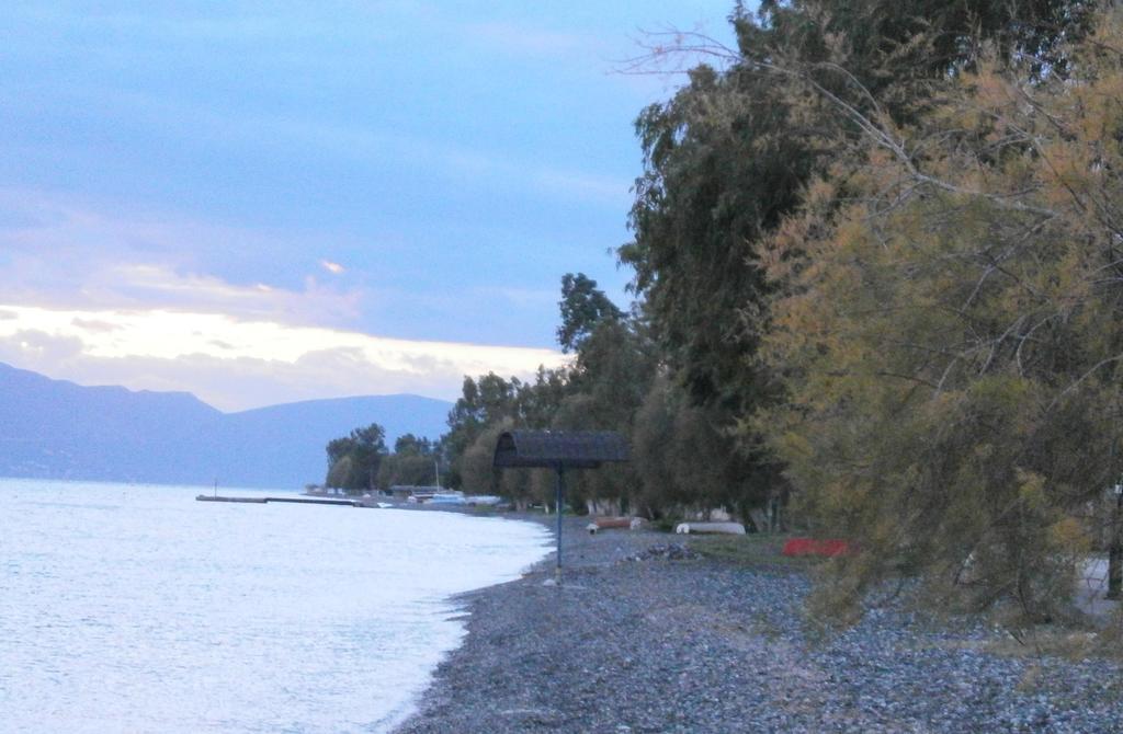 Artemis - Marina Apartments Evia Værelse billede