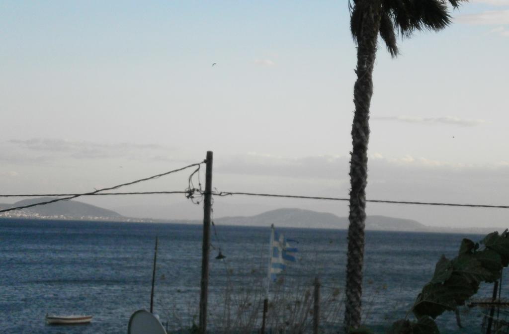 Artemis - Marina Apartments Evia Værelse billede