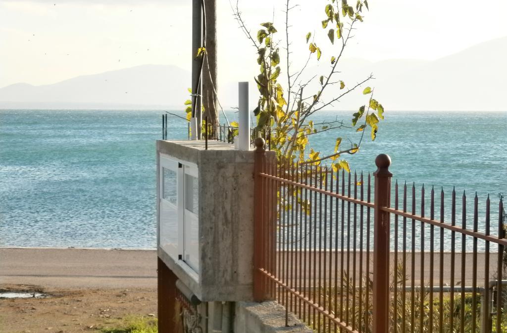 Artemis - Marina Apartments Evia Værelse billede