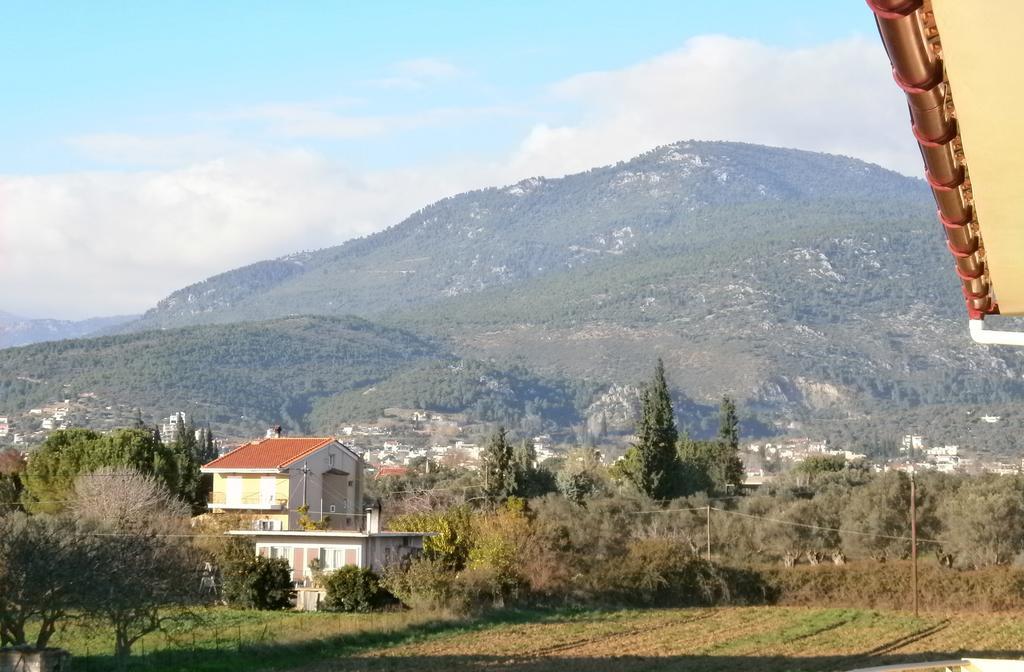 Artemis - Marina Apartments Evia Værelse billede